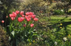 garden tour 2014 press release with territorial added