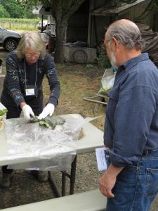 lwvuv garden tour 2014