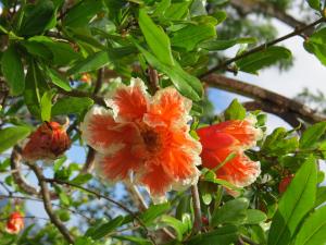 lwvuv garden tour 2014