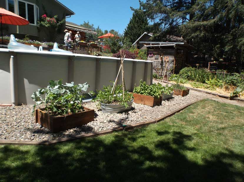 Soderberg-Garden-2015