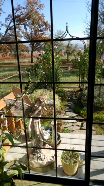 Baird-looking-thru-window